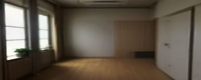 每周内容更新日历展示，显示周一数据更新、周三榜单刷新、周末专题上线的规律节奏